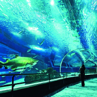 ÁquaRio