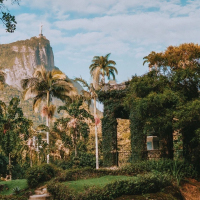 Rio Natureza: Floresta da Tijuca e Jardim Botânico